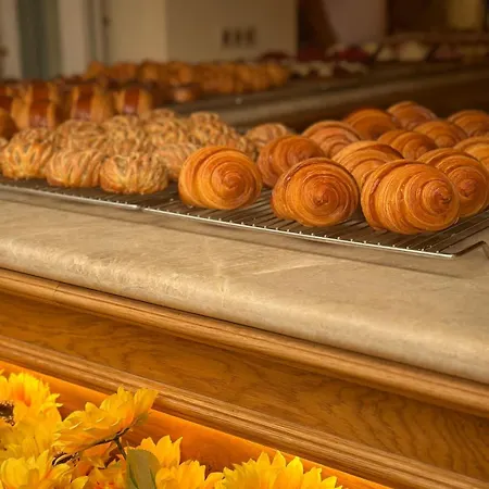 Le Paon L Old Town & Ac L Shellter شقة سان تروبيه